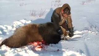 spring hunt 2012 Muskrat gets a grizzly