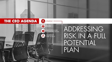 The CEO Agenda: Addressing Risk in a Full Potential Plan