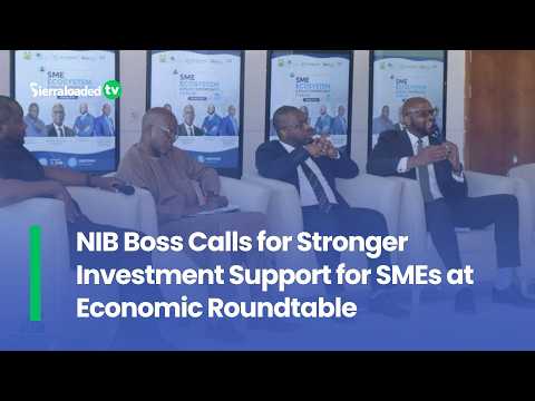 NIB Boss Calls for Stronger Investment Support for SMEs at Economic Roundtable