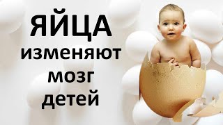 Сколько яиц в день сделают ребёнка умнее
