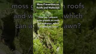 Roof and Walkway Bliss: Mastering Moss Prevention Like a Pro