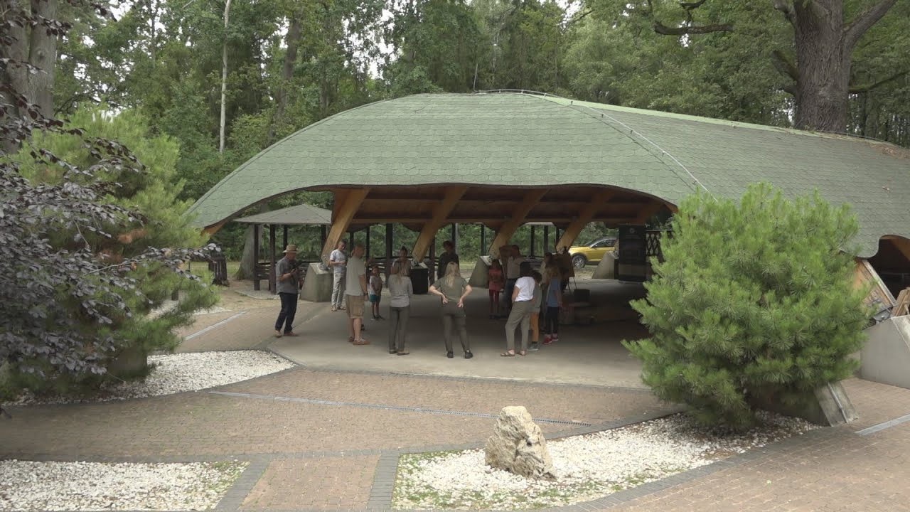 Nadleśnictwo Przedborów zaprosiło do lasu dźwięków i kolorów