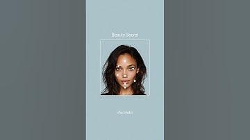 The Prototype Theory Explained.