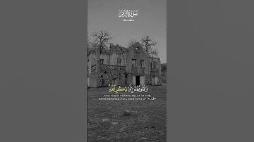 #القرآن_الكريم #القران #سورة_الزمر #ماهر_المعيقلي #تلاوة_خاشعة #تلاوة_مريحة