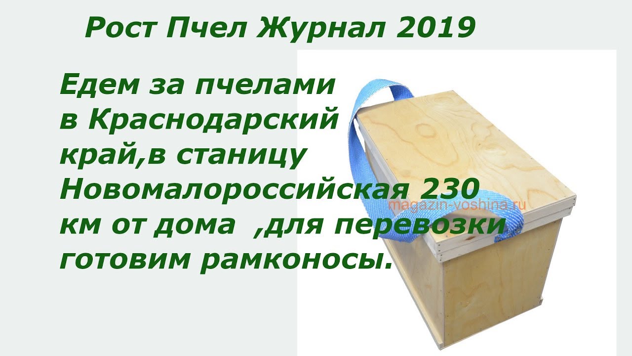 Купить Пчелосемьи В Краснодарском Крае