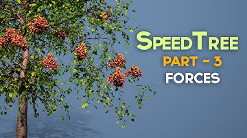 SpeedTree - Training Series - 003 -   Forces