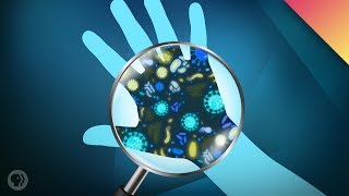 Your Microbiome: The Invisible Creatures That Keep You Alive!