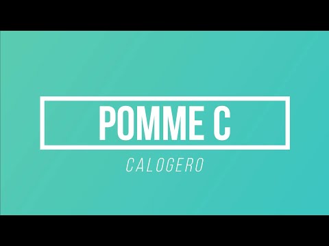 Pomme C - Calogero | [Paroles / Lyrics]