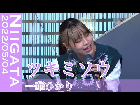 やっぱり人気で本日２回目　一華ひかりの運命曲ツキミソウ