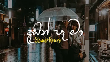 Dasin Pa Ma - දෑසින් පෑ මා (Slowed+Reverb)