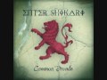 Enter Shikari - Solidarity With Lyrics