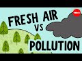 Understanding Air Composition and Pollution