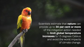 BHP and Conservation International | Climate Change