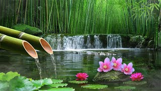 Relaxing Music to Rest the Mind  Meditation Music, Peaceful music, Stress Relief, Zen, Spa,Sleeping
