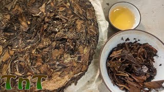Aged Bai Mu Dan - Premium High Mountain White Peony - Tea Review