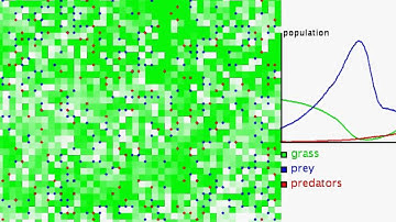 population dynamics simulation (processing)