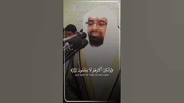 (ألآ إن لله ما في السماوات والارض) #تلاوة_خاشعة #ناصر_القطامي #اكتب_شي_تؤجر_عليه #ياسرالدوسري