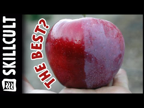 Video: William's Pride Apple Care - Học cách trồng những cây táo của William's Pride