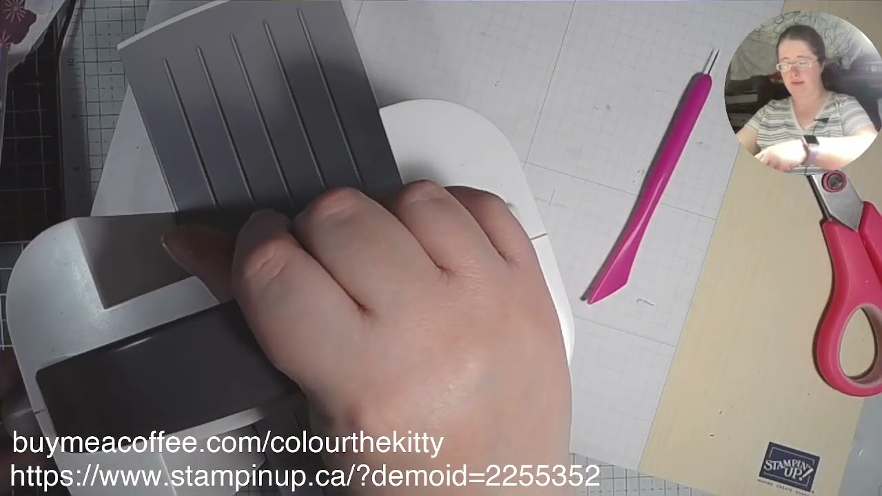 🎨 Freestyling with Pocket Dies + Notes & Totes! 👜✂️