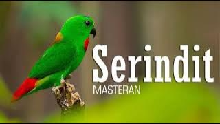 MASTERAN SERINDIT ....!!!!