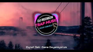 Ziynet Sali - Sana doyamıyorum (DJ REDBOX Remix) Resimi