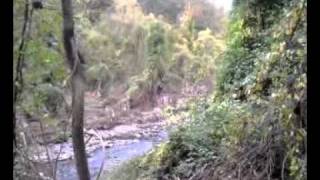 Gwynns Falls Trail