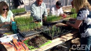 How A Biofuel Maker is Test-Growing A New Energy Crop