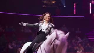 Bouglione Le Cirque Dhiver Meilleurs Choix De Spectacles De Noël