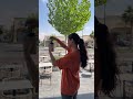 مرحبااااا اسيا باسط اكسبلور