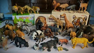sea wild farm new animal entertainment 13+ dinosaurs horse tiger lion cow sheep p2+ Animals Demo