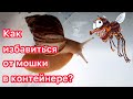 ЗЛАЯ МОШКА В КОНТЕЙНЕРЕ🪰КАК ИЗБАВИТЬСЯ ОТ МОШКИ?