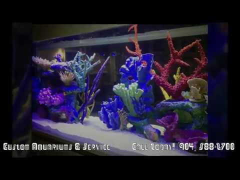 3-in-1 Fish Tank Cleaning Kit / Aquarium Cleaning Tools Starter Kit - Walmart.com - Walmart.com