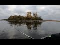 Осенняя рыбалка на окуня 2020 ( Ладожское озеро )
