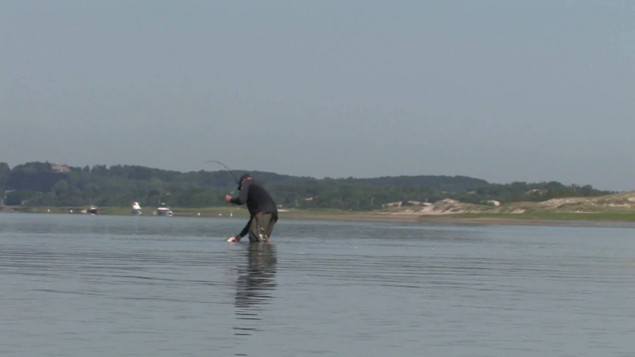 Crane beach fishing striped bass MA could have fly fishing for them 7