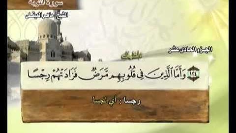 القران الكريم|الجزء الحادى عشر(11)|الشيخ ماهر المعيقلي Holy Quran Part 11 Sheikh Al Muaiqly