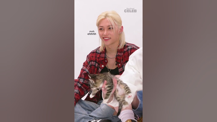 Stray Kids teach us how to speak cat!