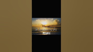 وَاتَّقُوا يَوْمًا تُرْجَعُونَ فِيهِ إِلَى اللَّهِ... #قرآن #البقرة #تلاوات
