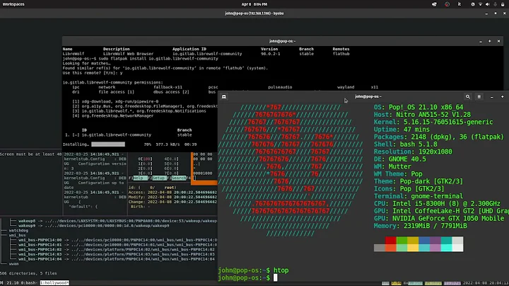 Linux user installing a Web Browser