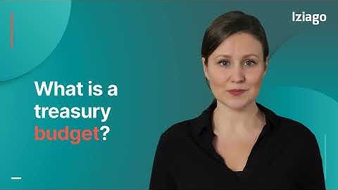 What is a treasury budget? - Iziago Software