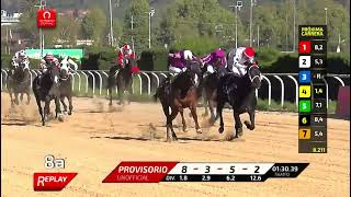Vidéo de la course PMU LANZA FUEGO H.