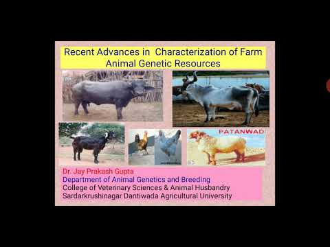 Characterisation of Farm Animal Genetic Resources