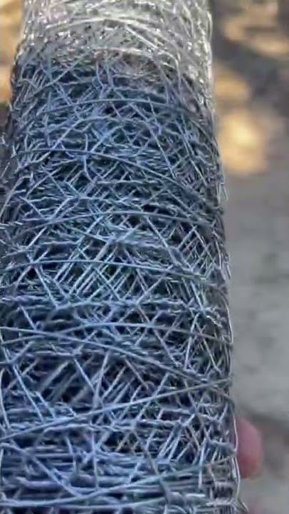 Ashland Galvanized Chicken Wire - Each