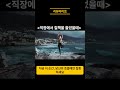 오늘의 명상 :직장에서 질책을 받은 날 #명상 #명언 #동기부여 #직장생활