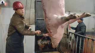 El tocino se hace esta manera - Fábrica procesamiento carne cerdo