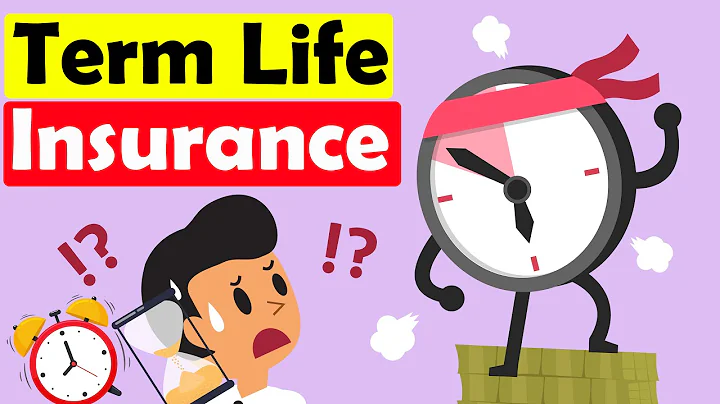 What are 4 types of term life insurance? (2025)
