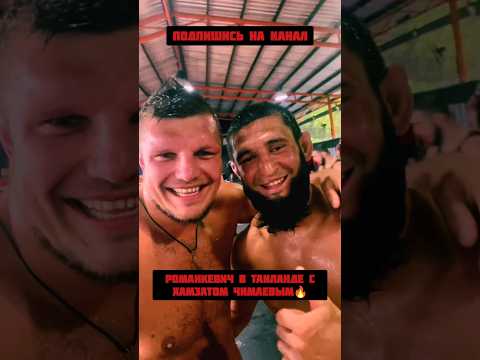Романкевич с Хамзатом Чимаевым🔥 #shorts #романкевич #хамзатчимаев #мма