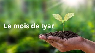 La nature du mois d'Iyar