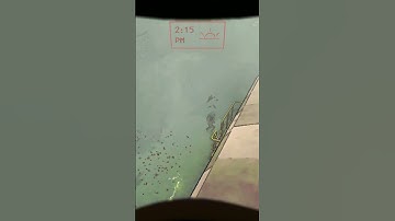 do NOT mess with the bees #lethalcompanygame #lethalcompanymodded