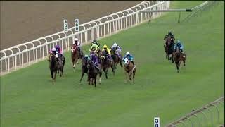 20201108 Hollywoodbets Greyville express clip Race 7 won by CAPTAIN OUPIE