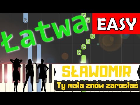 🎹 Ty mała znów zarosłaś (Sławomir) - Piano Tutorial (łatwa wersja) 🎵 NUTY W OPISIE 🎼